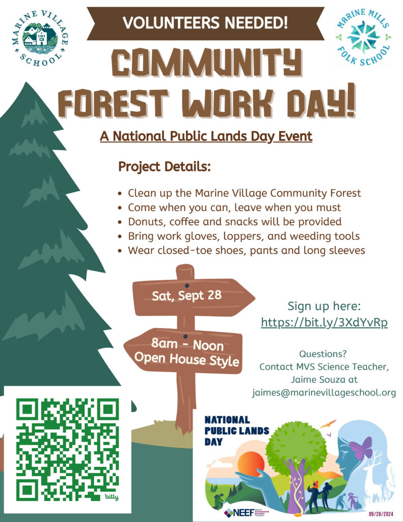 Community Forest Work Day